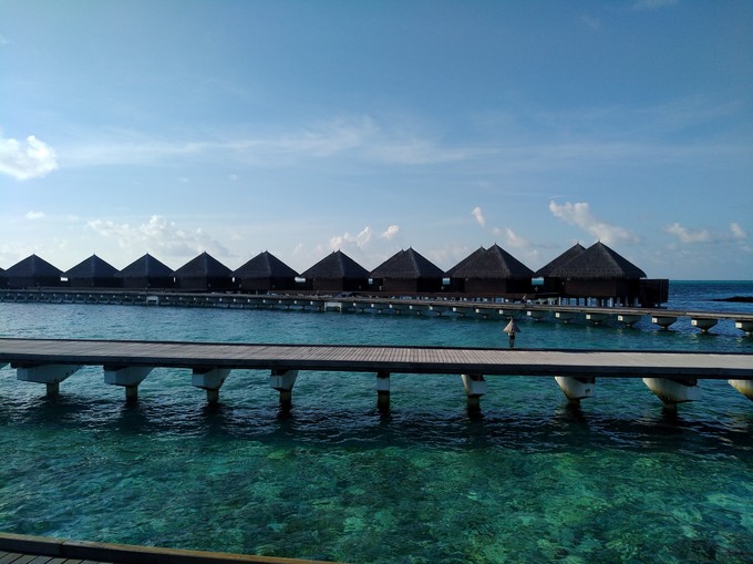 泰姬珍品岛 Taj Exotica Resort